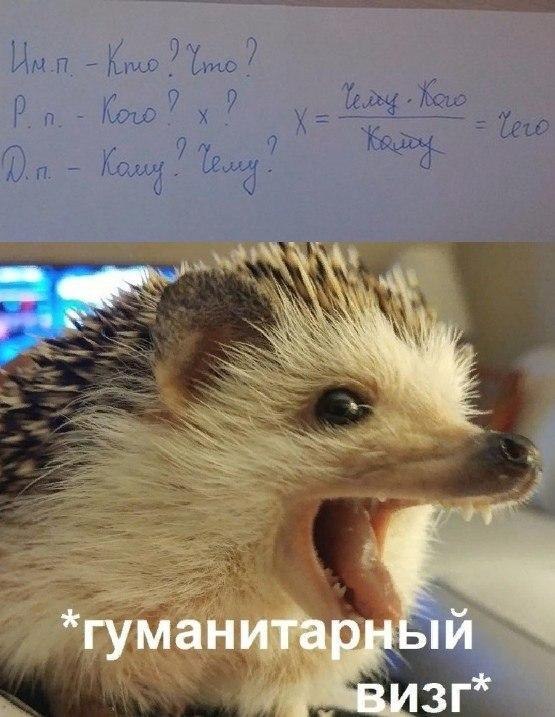 *гуманитарный