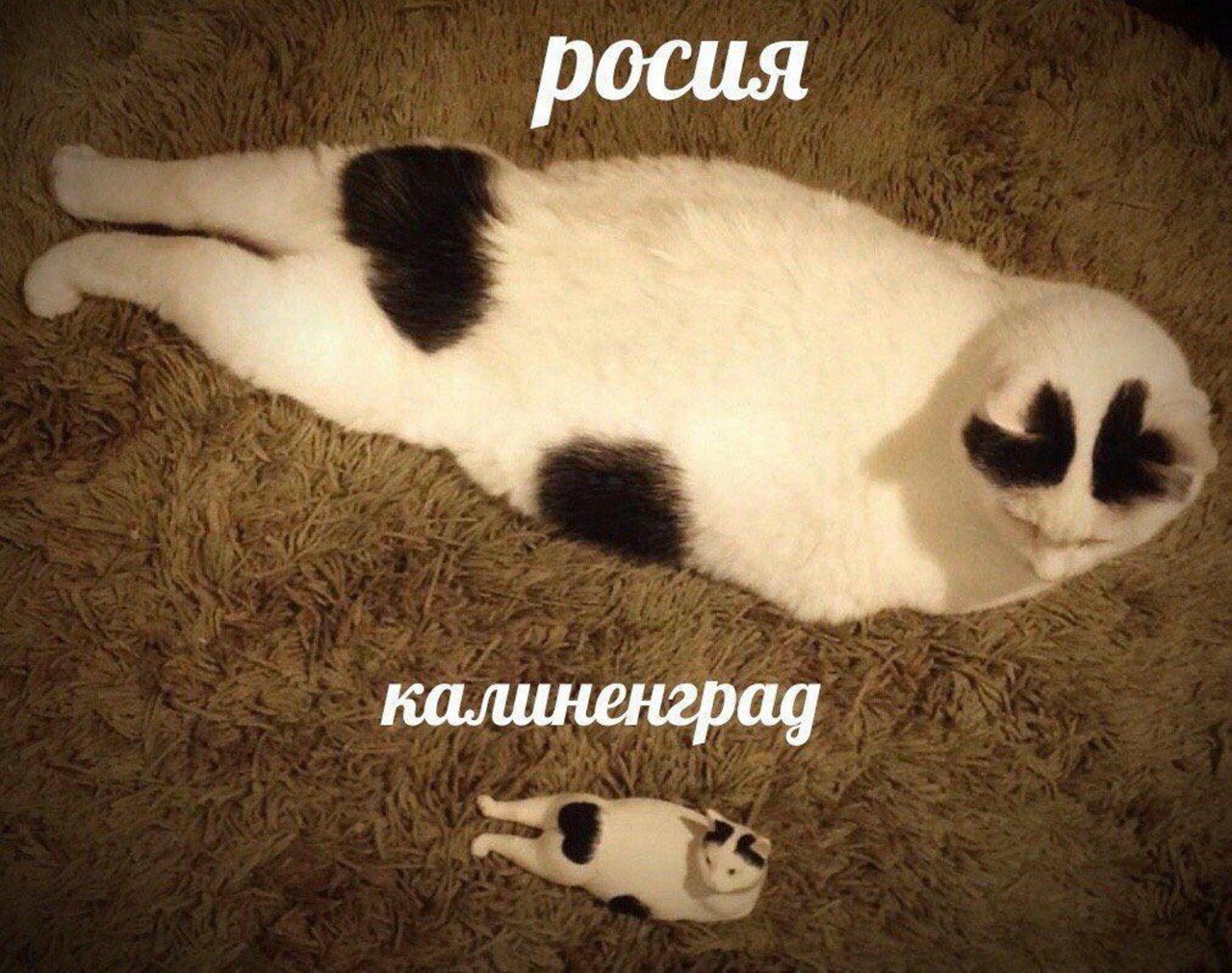 росия 4 калиненград