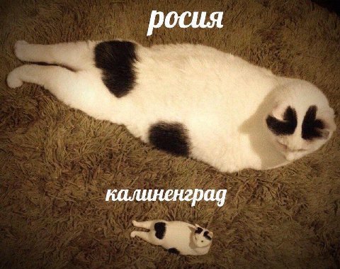 росия 4 калиненград