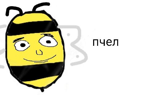 пчел
