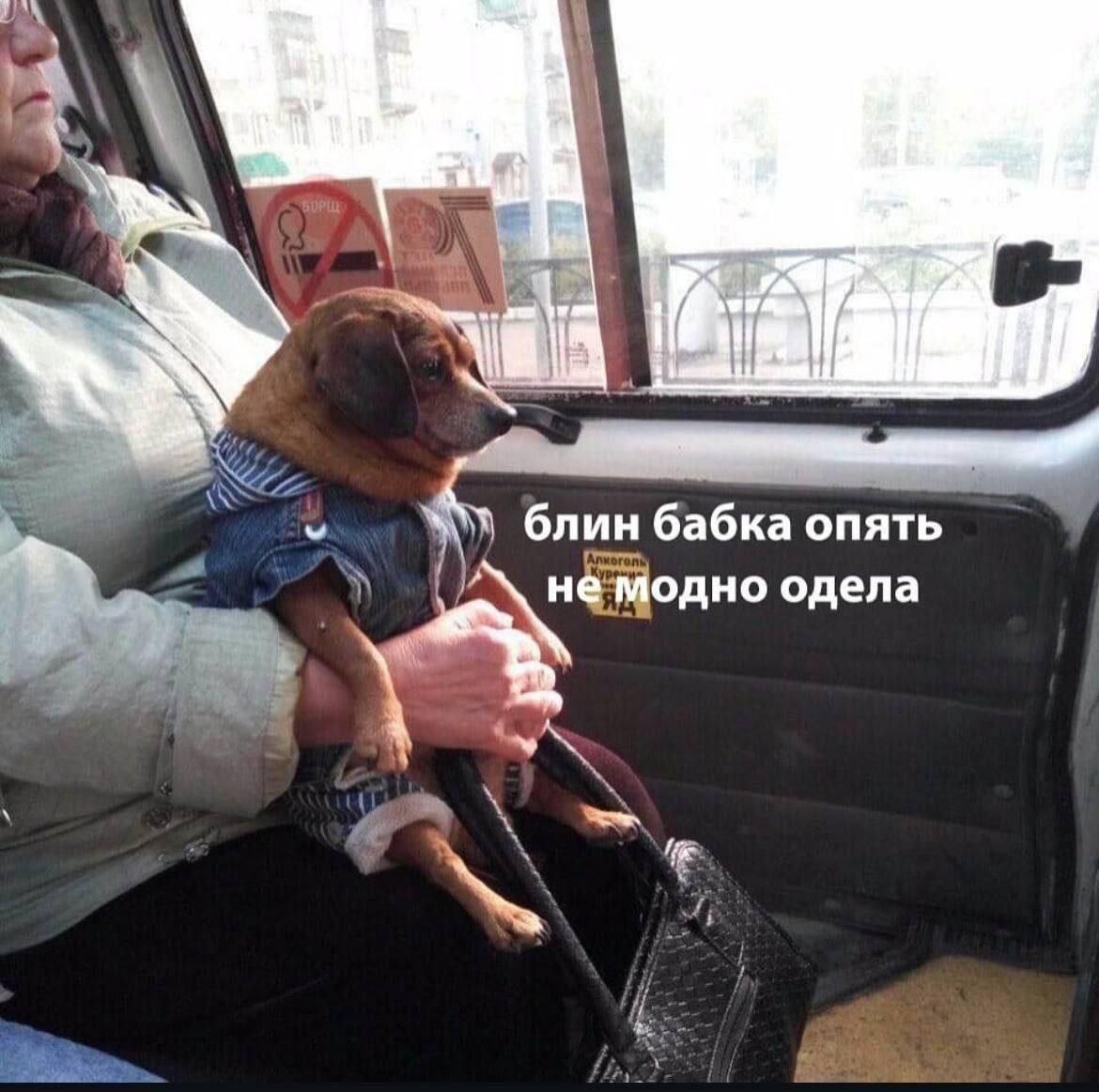 блин бабка опять не Модно одела