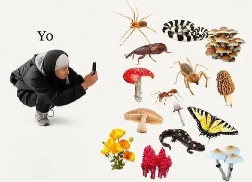 (9 уе АН с ; go ae , -.` fe No al aay