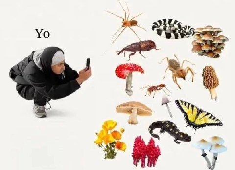 (9 уе АН с ; go ae , -.` fe No al aay