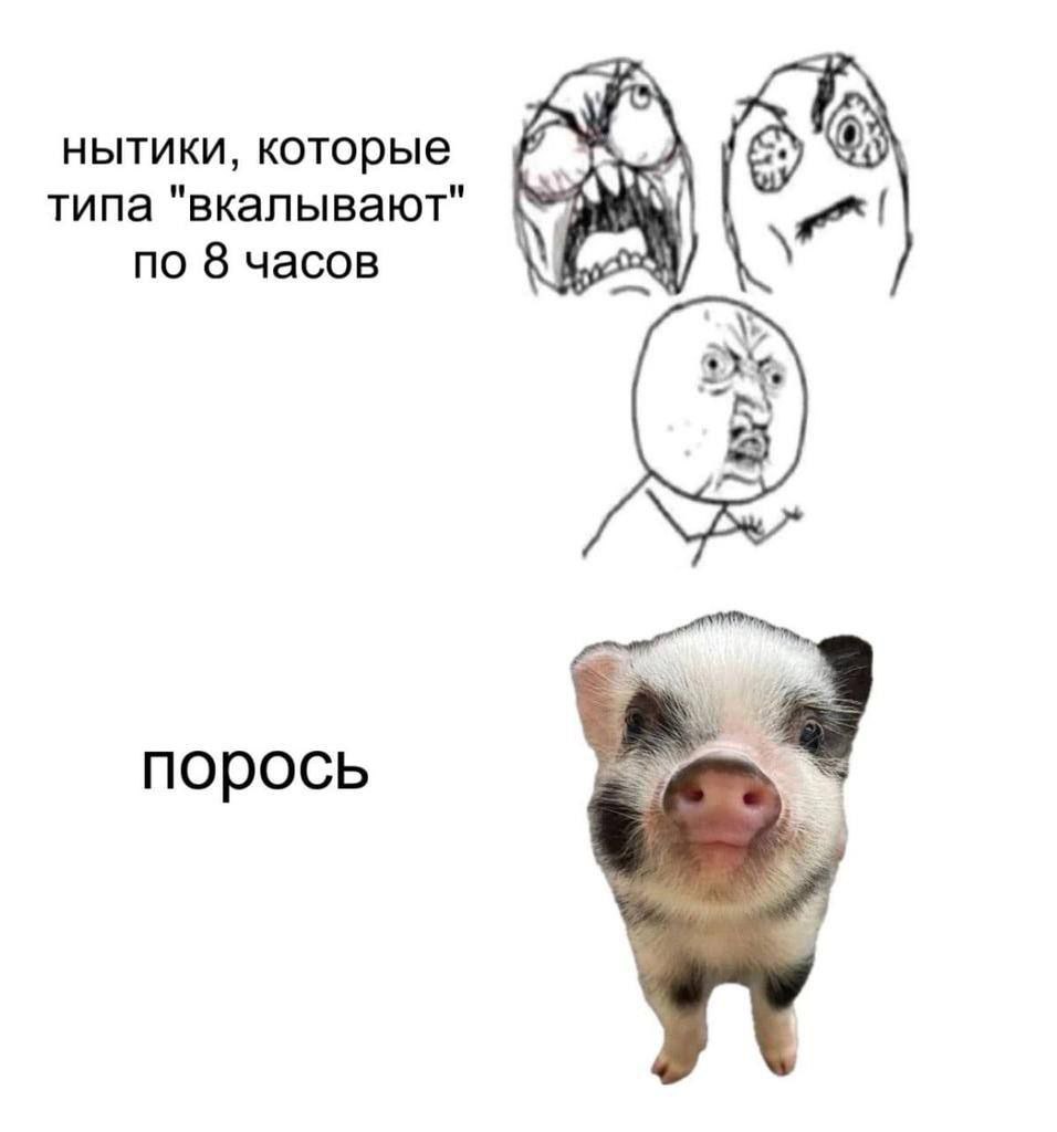 нытики, которые типа "вкалывают" по 8 часов порось a