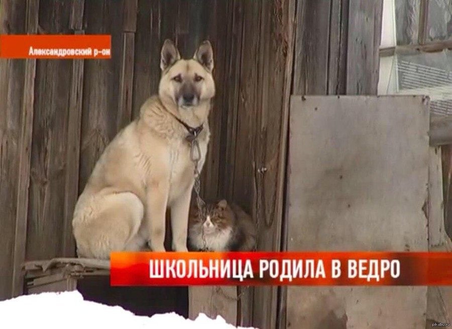 Александровский р-он и in РОДИЛА В ВЕДРО К