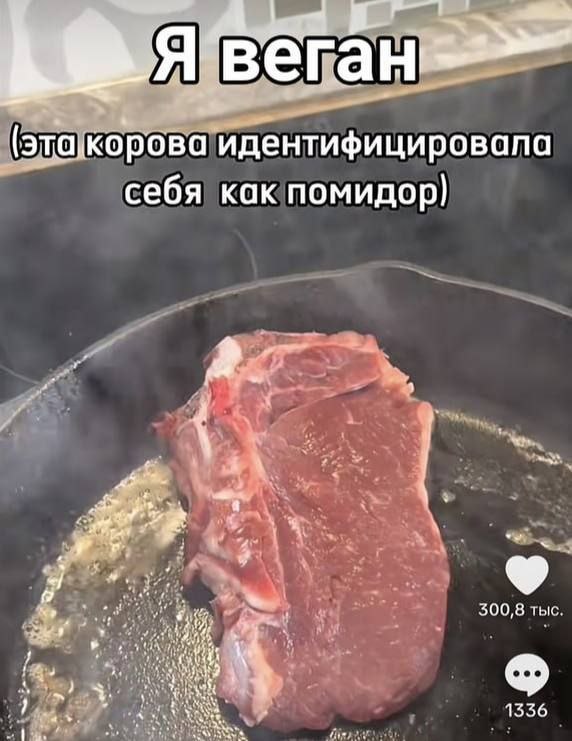 явега (этакорова идентифицировала себя как помидор) 00,8 ты 4 1 36