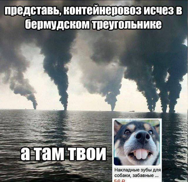 представь, контейнеровоз исчез в бермудском треугольнике собаки, забавные Накладные зубы anal