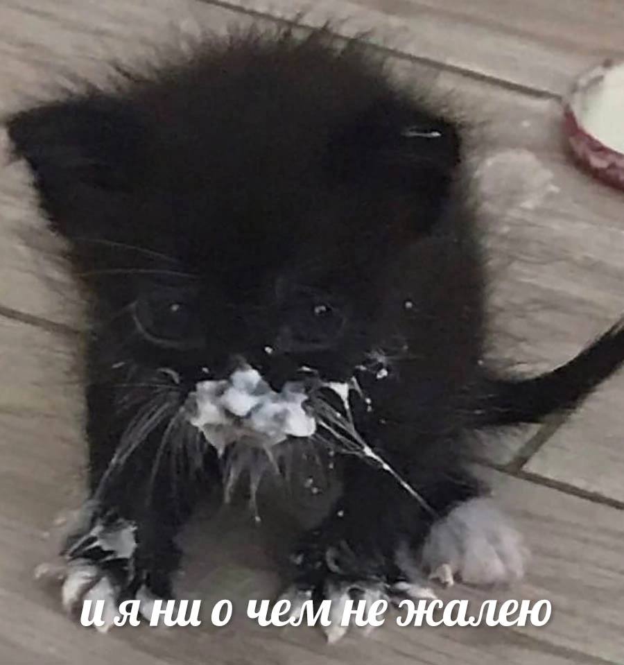 ни о чем не жалею
