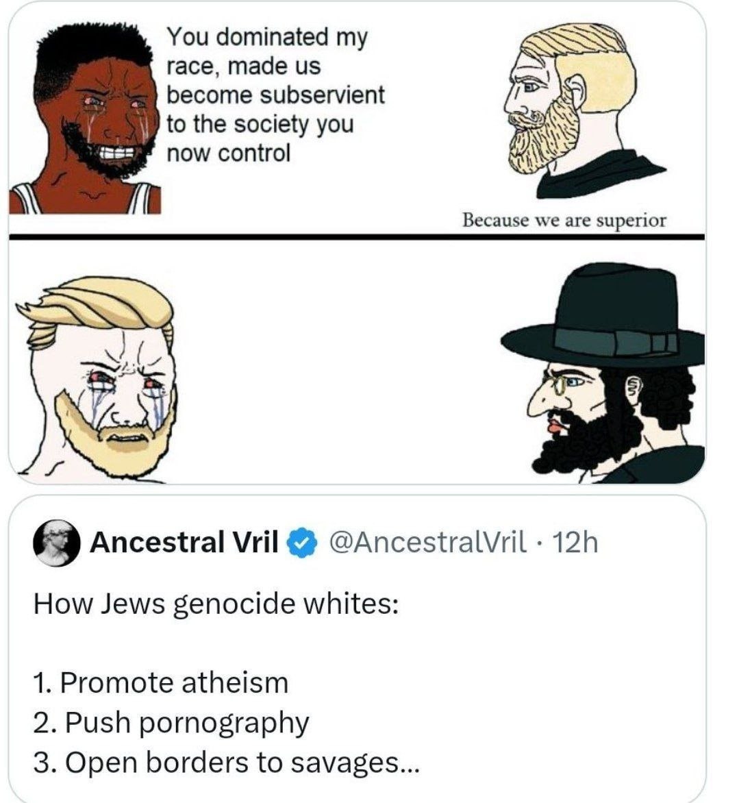 у i become subservient to the society you now control Я Because we are superior 4 Ancestral Vril @AncestralVril How Jews genocide whites: 1. Promote atheism 2. Push pornography 3. Open borders to sava
