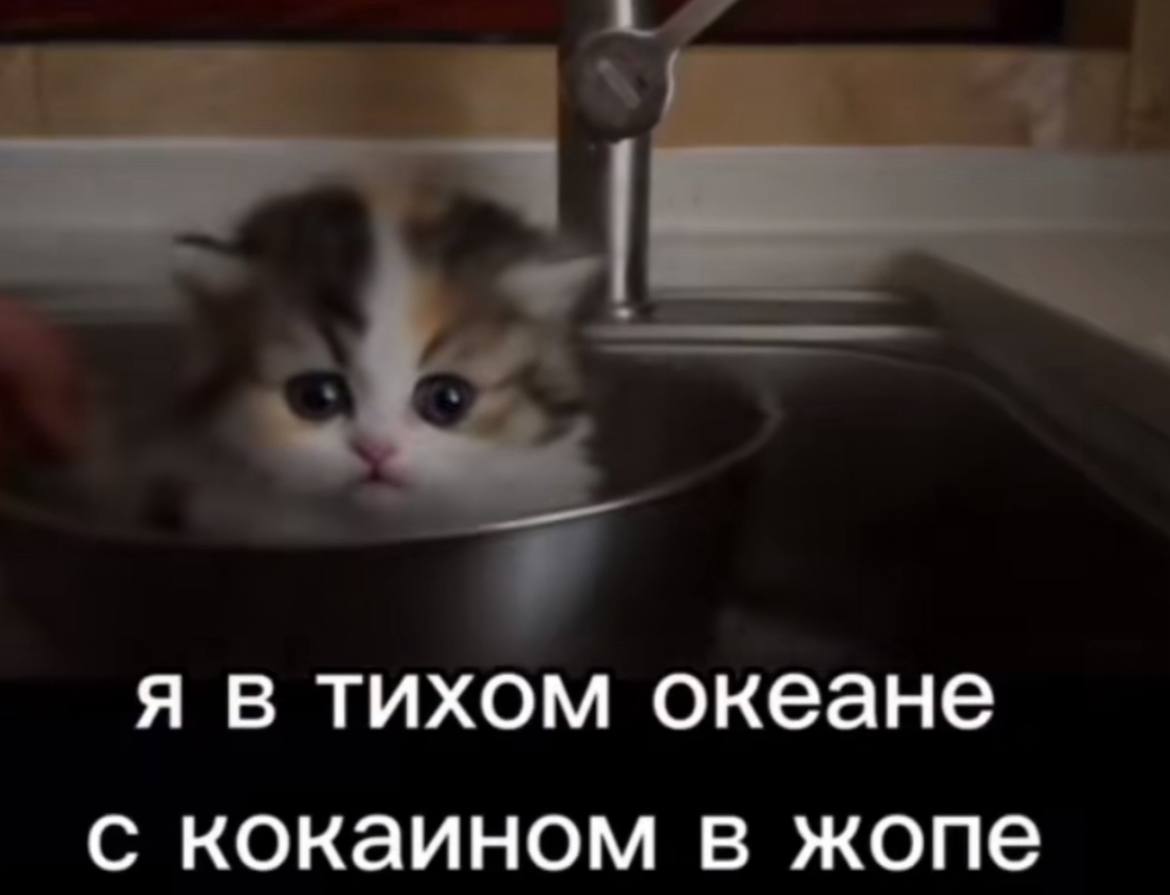 я в тихом океане С кокаином в жопе