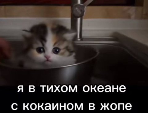 я в тихом океане С кокаином в жопе