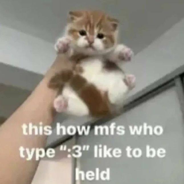 :3