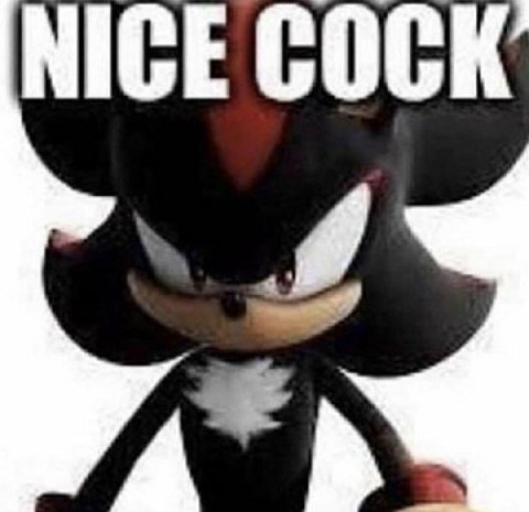 NICE COCK