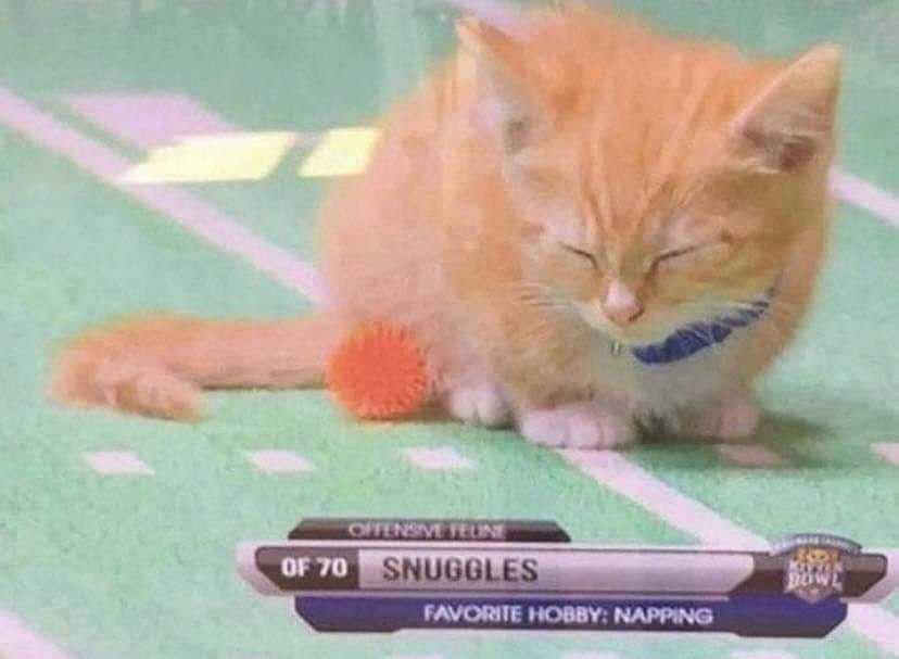 я. 24 ‘OF FAVORITE HOBBY: NAPPING