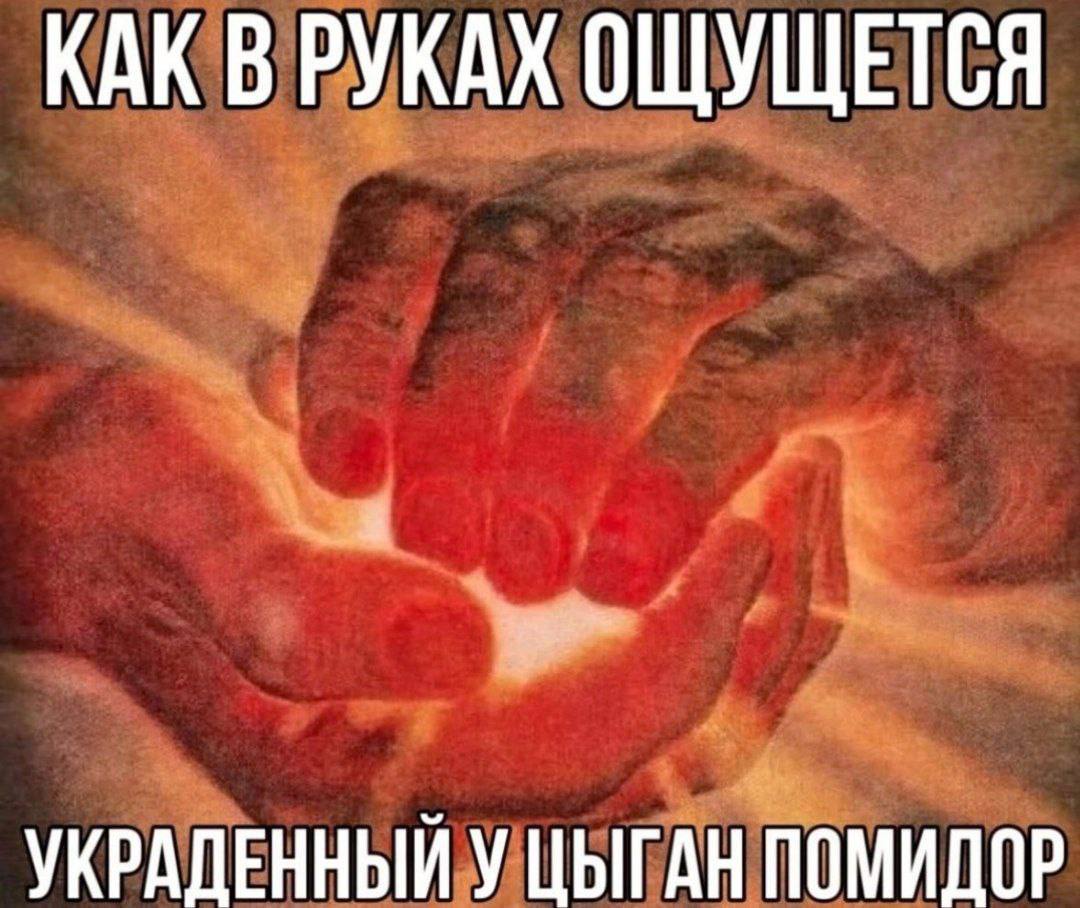 КАК В РУКАХ ОЩУЩЕТСЯ A УКРАПЕННЫЙУ ЦЫГАН ПОМИДОР