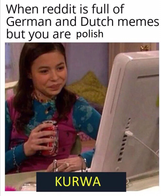 When reddit is full of German and Dutch memes but you are polish KURWA