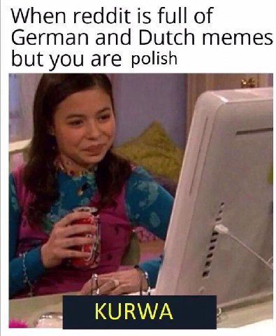 When reddit is full of German and Dutch memes but you are polish KURWA