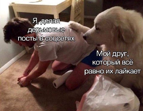 a Я ПОСТЫ В. соцсетях Мой друг который всё равно лаикает