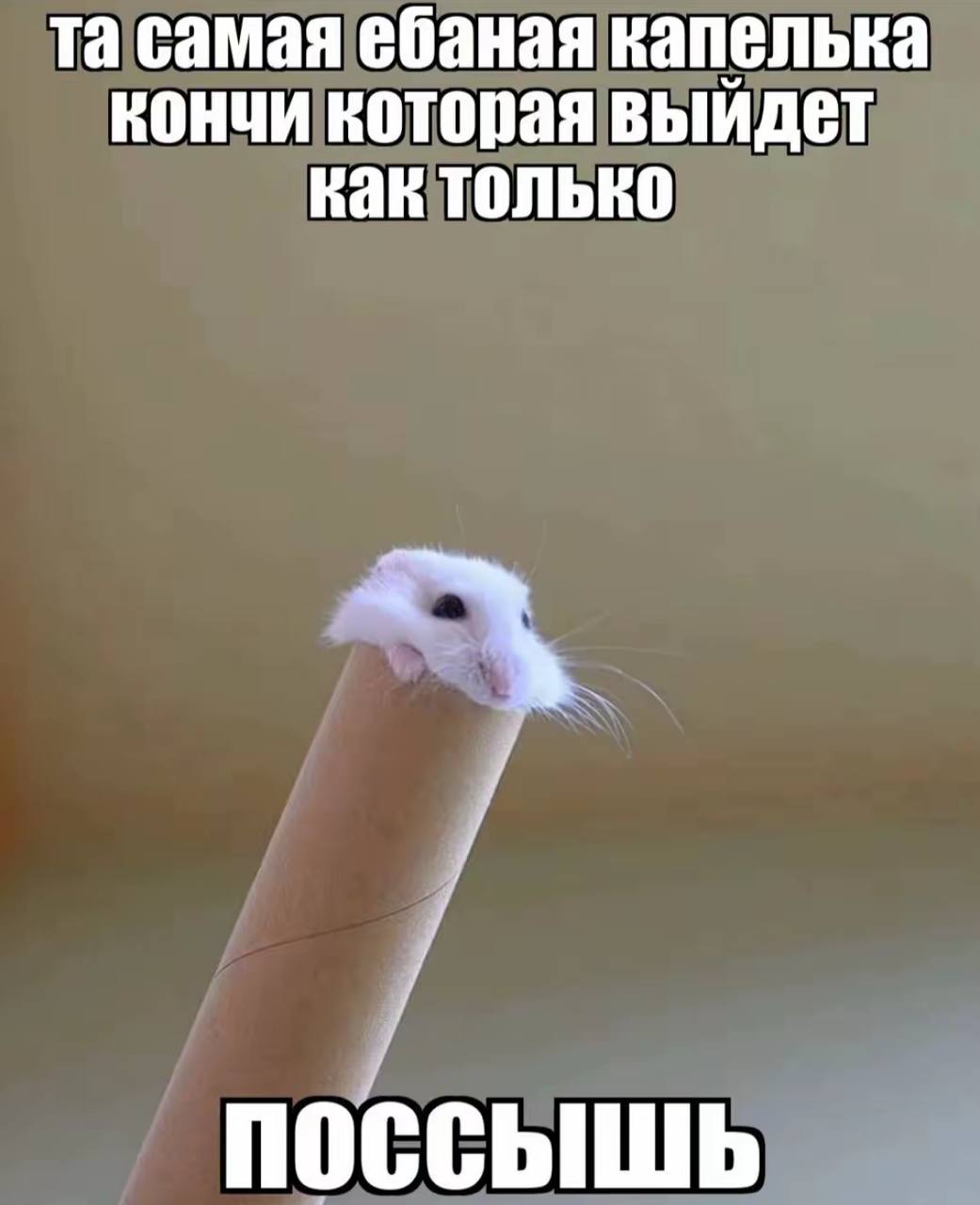 самая ебаная капелька кончи которая выйдет как только ПОССЫШЬ