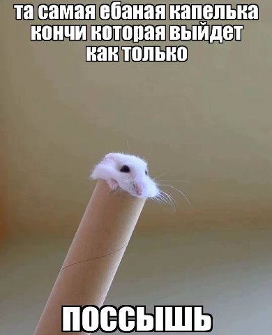 самая ебаная капелька кончи которая выйдет как только ПОССЫШЬ