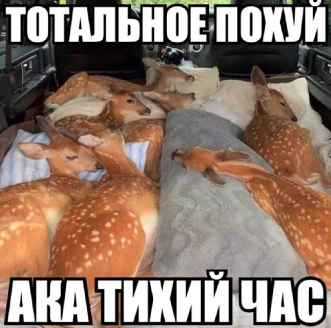 ТОТАЛЬНОЕ ПОХУЙ bit a у В 1 АКА ТИХИЙ ЧАС.