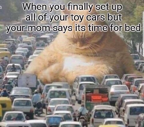 When you finally set up a of your toy cars you it