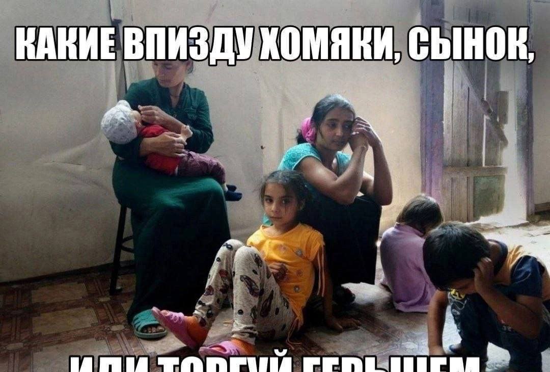 КАКИЕ ВПИЗДУ KOMARK, СЫНОК,