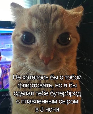 i Не хотелось бы с тобой флиртовать, но я бы сделал тебе бутерброд с плавленным сыром В 3 НОЧИ