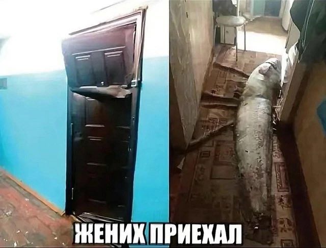 ПРИЕКАЛ