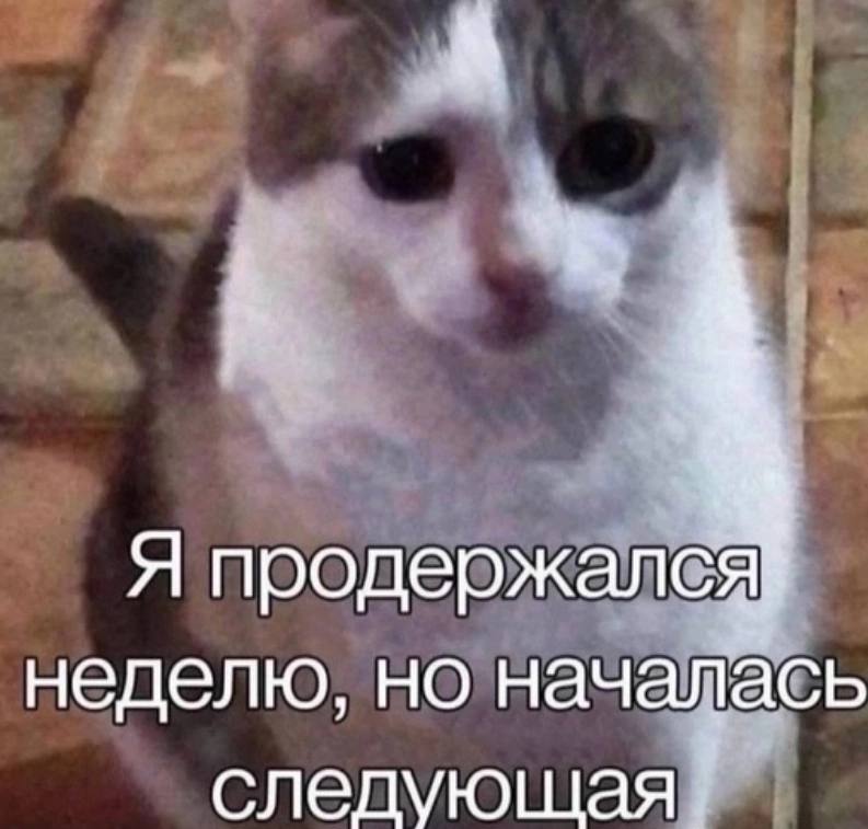 А Я продержался неделю, но началась следующая