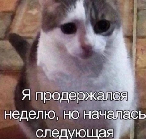 А Я продержался неделю, но началась следующая
