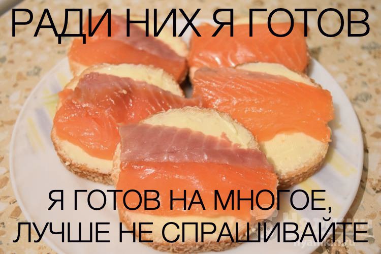 ГОТОВ Я ГОТОВ MHOPOE, НЕ СПРАШИВАЙТЕ