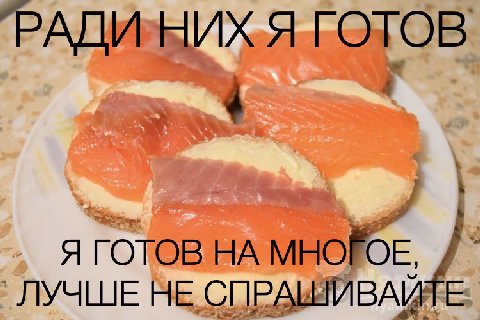 ГОТОВ Я ГОТОВ MHOPOE, НЕ СПРАШИВАЙТЕ
