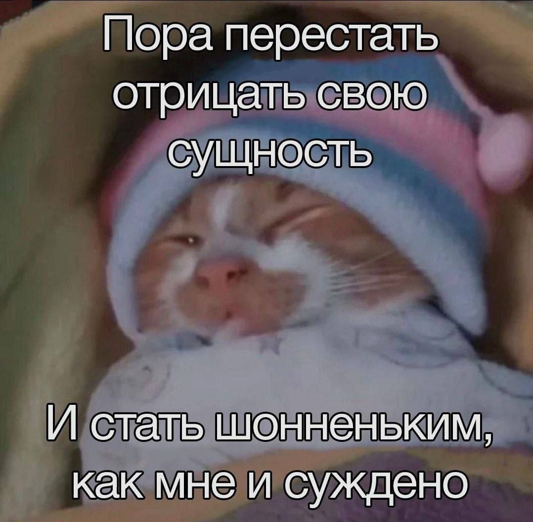 Пора перестать отрицать свою сущность И стать шонненьким, как мне и суждено