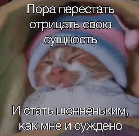 Пора перестать отрицать свою сущность И стать шонненьким, как мне и суждено
