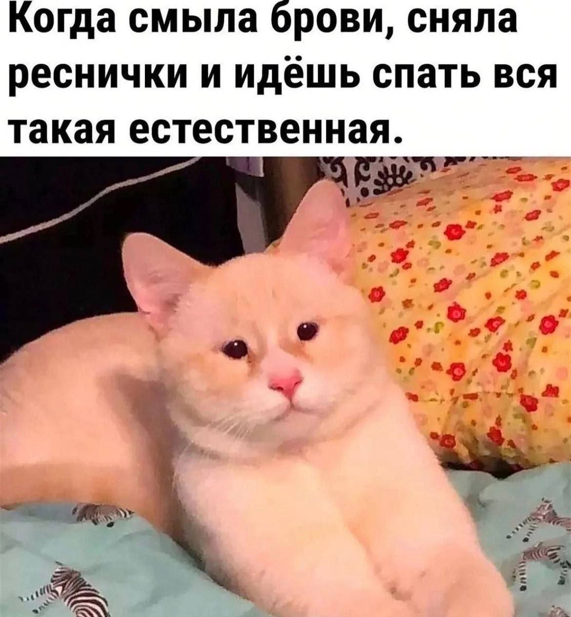 Когда смыла брови, сняла реснички и идёшь спать вся такая естественная.