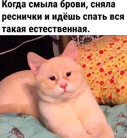 Когда смыла брови, сняла реснички и идёшь спать вся такая естественная.