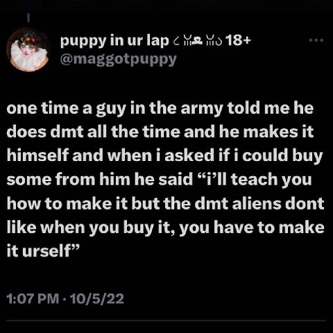рирру и! lap 18+ @maggotpuppy one time a guy in the army told me he does dmt all the time and he makes it himself and when i asked if i could buy some from him he said “i’ll teach you how to make it b