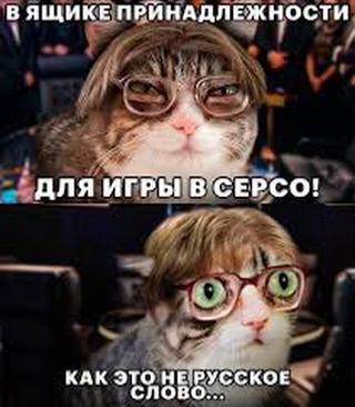 В ЯЩИКЕ ПРИНАДЛЕЖНОСТИ ДЛЯ ИГРЫ В СЕРСО! КАК ЭТО HE:PYCCKOE СЛОВО...