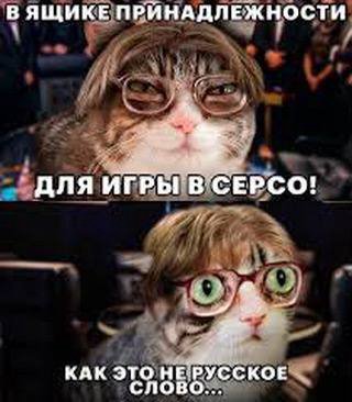 В ЯЩИКЕ ПРИНАДЛЕЖНОСТИ ДЛЯ ИГРЫ В СЕРСО! КАК ЭТО HE:PYCCKOE СЛОВО...