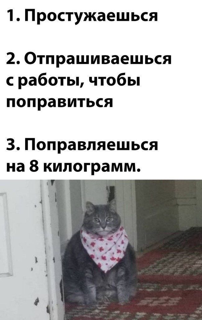 1. Простужаешься 2. Отпрашиваешься с работы, чтобы поправиться 3. Поправляешься на 8 килограмм.