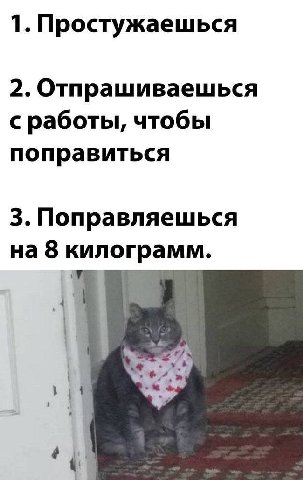 1. Простужаешься 2. Отпрашиваешься с работы, чтобы поправиться 3. Поправляешься на 8 килограмм.