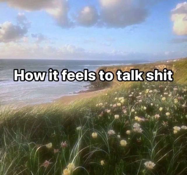 to talk shit