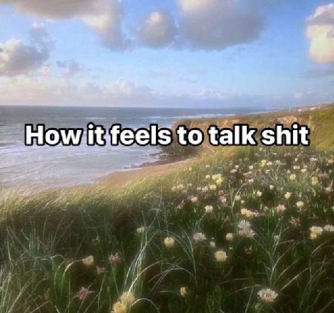 to talk shit