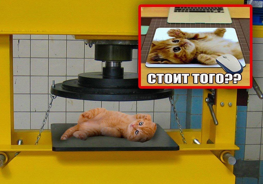 a СТОИТ