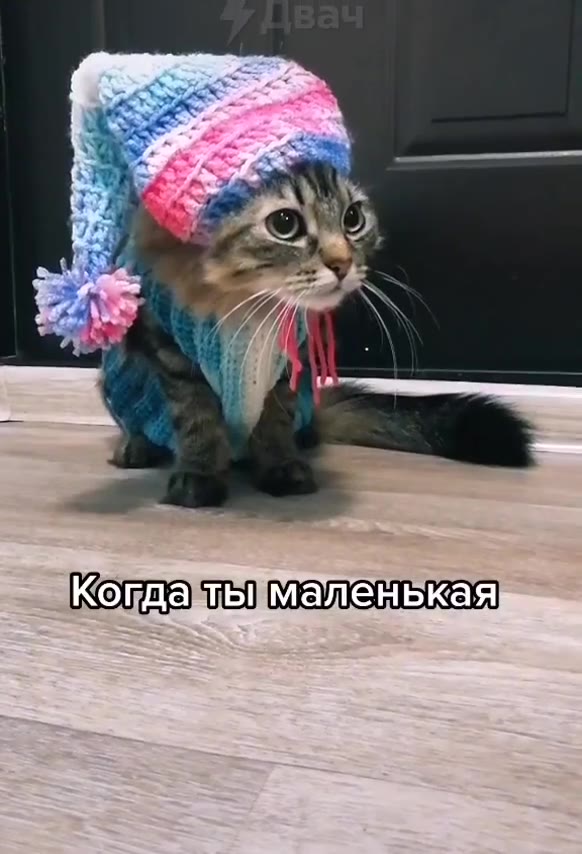 Когдазть {маленькая Иуждешеь] маму тока пыс\евойтретий