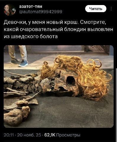 азатот-тян Девочки, у меня новый краш. Смотрите, какой очаровательный блондин выловлен из шведского болота и о 28 20:11 20 нояб. 25 Просмотры