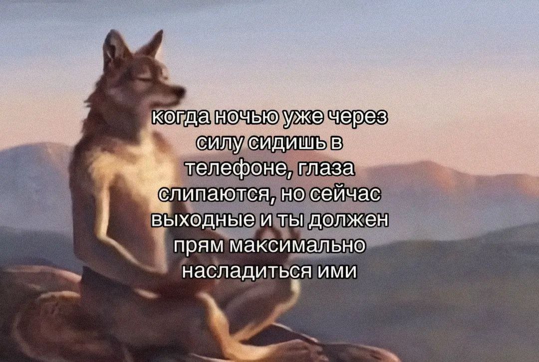 сидишь телефоне, глаза липаются, но сейчас выходные и ты должен прям максимально насладиться ими