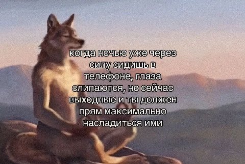 сидишь телефоне, глаза липаются, но сейчас выходные и ты должен прям максимально насладиться ими