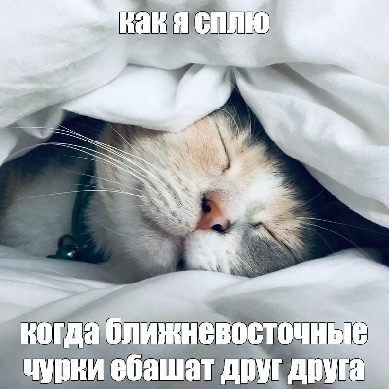 Kak сплю a, друг друга
